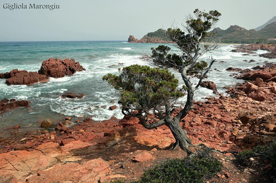 Le Roverelle Ilbono ภายนอก รูปภาพ